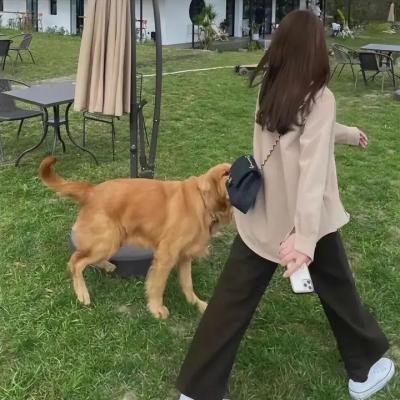 风尘血泪